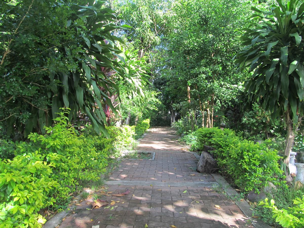 Backpackers And Travellers Hostel Neiva  Exterior foto